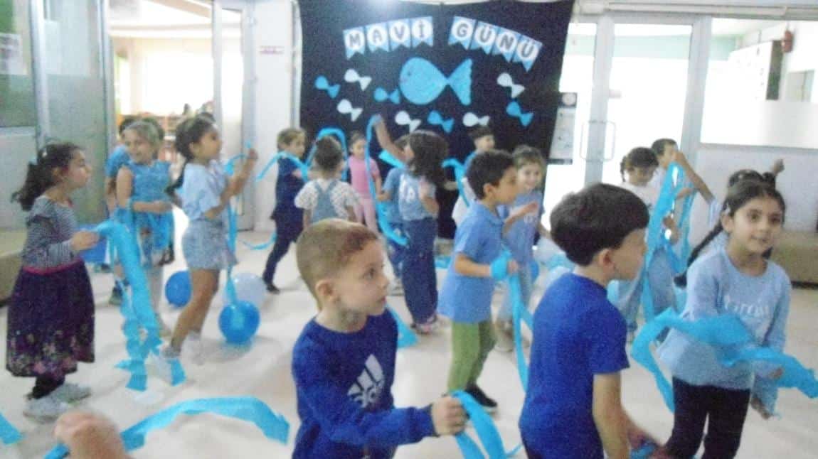 MAVİ GÜNÜ